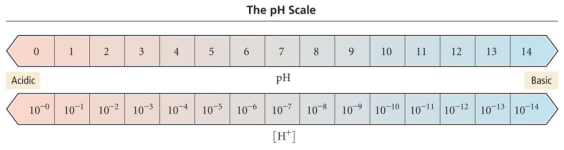 pHScale.png pHScale.png