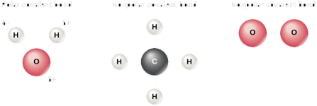 Polarity.png Polarity.png