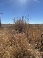 1765133123716.jpeg 1765133123716.jpeg