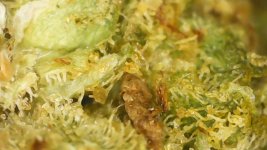 WIN_20250915_22_31_02_Pro.jpg WIN_20250915_22_31_02_Pro.jpg