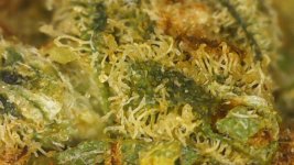 WIN_20250915_22_31_57_Pro.jpg WIN_20250915_22_31_57_Pro.jpg