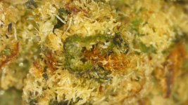 WIN_20250915_22_33_04_Pro.jpg WIN_20250915_22_33_04_Pro.jpg