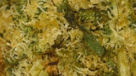 WIN_20250915_22_33_34_Pro.jpg WIN_20250915_22_33_34_Pro.jpg