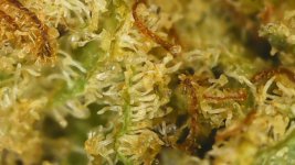 WIN_20250915_22_34_58_Pro.jpg WIN_20250915_22_34_58_Pro.jpg