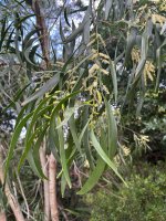 599425124_850575144391816_3431484568090067667_n.jpg 599425124_850575144391816_3431484568090067667_n.jpg