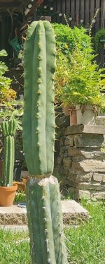 Screenshot_20251224_173917.jpg Screenshot_20251224_173917.jpg