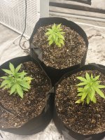 1000000895.jpg 1000000895.jpg