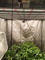 1000000924.jpg 1000000924.jpg