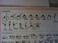 london school yoga primary02.jpg