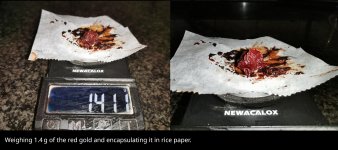 STEP 11 Weighing Dose.jpg STEP 11 Weighing Dose.jpg