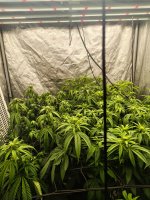 1000000930.jpg 1000000930.jpg