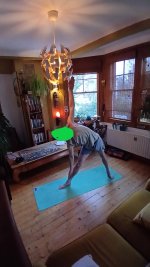 Standing 3 Uthitatrikonasana A.jpg