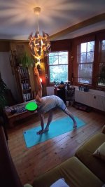 Standing 4 Uthitatrikonasana B.jpg