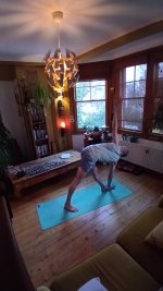 Standing 4 utthitatrikonasana B b.jpg