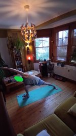 Standing 5 Utthitaparsvokanasana .jpg