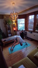 Standing 7 Prasarita padotanasana A.jpg