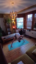 Standing 7 Prasarita padotanasana C.jpg