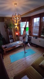 Standing 12 Ardha badha padmotanasana .jpg