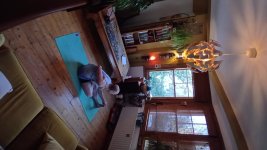 Primary Seated 4 Ardha badha padma paschimotanasana .jpg