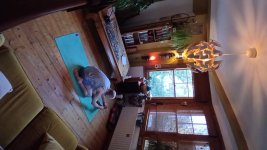 Primary Seated 5 Triyangmukhapada paschimotanasana .jpg