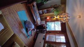 Primary Seated 5 Triyangmukhapada paschimotanasana b.jpg