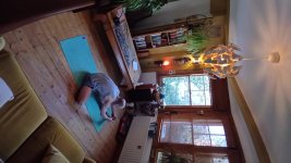 Primary Seated 6 Janu Sirsasana A.jpg