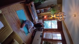 Primary Seated 6 Janu Sirsasana B.jpg