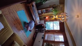 Primary Seated 9 Bhujapidasana B.jpg