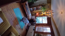 Primary Seated 15 Pashasana.jpg