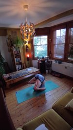 Finishing 7 Pindasana.jpg