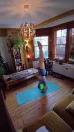 Finishing 10 Sirsasana A.jpg