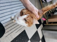 Juice Feb 5 2026.jpg