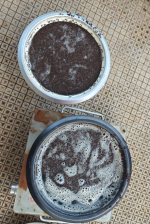 1770933505184.png 1770933505184.png