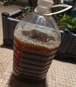 1770933579262.png 1770933579262.png