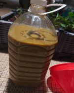 1770933843961.png 1770933843961.png