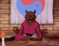 master-splinter-tmnt-floating-meditation.gif
