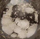 jar circle pics 1.jpg