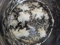 jar circle pics 3.jpg