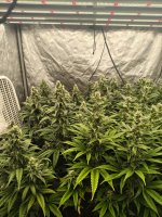 1000001185.jpg 1000001185.jpg