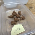 IMG_2544.jpeg IMG_2544.jpeg