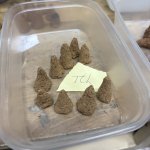 IMG_2545.jpeg IMG_2545.jpeg