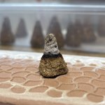 IMG_2546.jpeg IMG_2546.jpeg