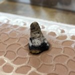 IMG_2547.jpeg IMG_2547.jpeg