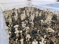 1774086428435.jpeg 1774086428435.jpeg