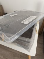 1774088144353.jpeg 1774088144353.jpeg