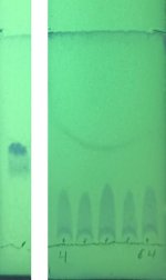 mes12-tlc.jpg mes12-tlc.jpg