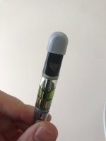 WhatsApp Image 2026-03-29 at 11.28.03.jpeg