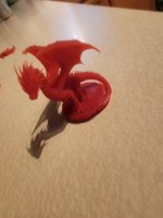 20260429_202533[1].jpg
