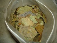 DSC01818.JPG