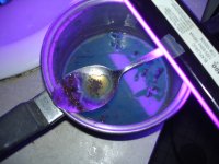 DSC01844.JPG